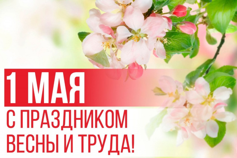 Поздравляем! Поздравляем!.