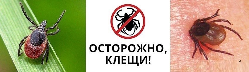 ВНИМАНИЕ ! ВНИМАНИЕ !.